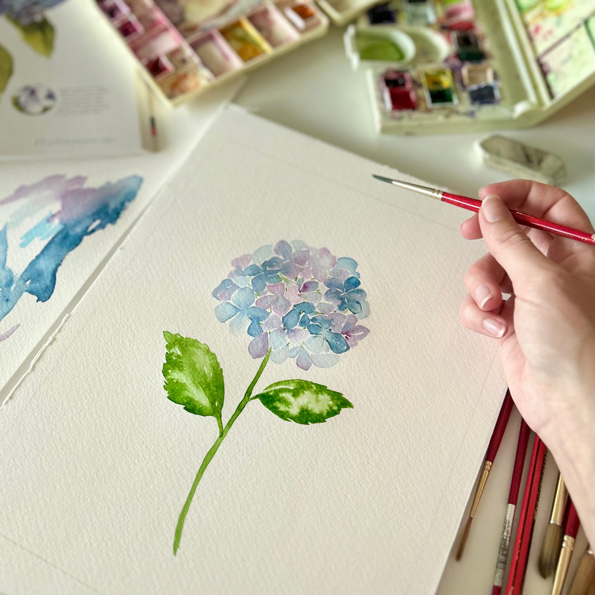 Intro to Florals Watercolour Workshop - 3hrs