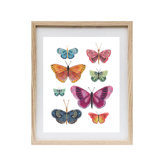 Butterfly Collection Art Print 8x10