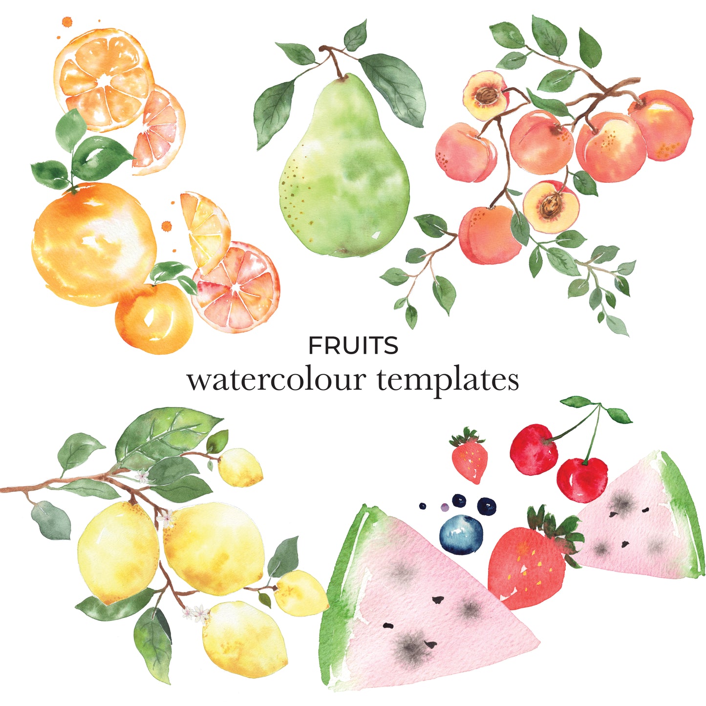 Fruit Watercolour Templates