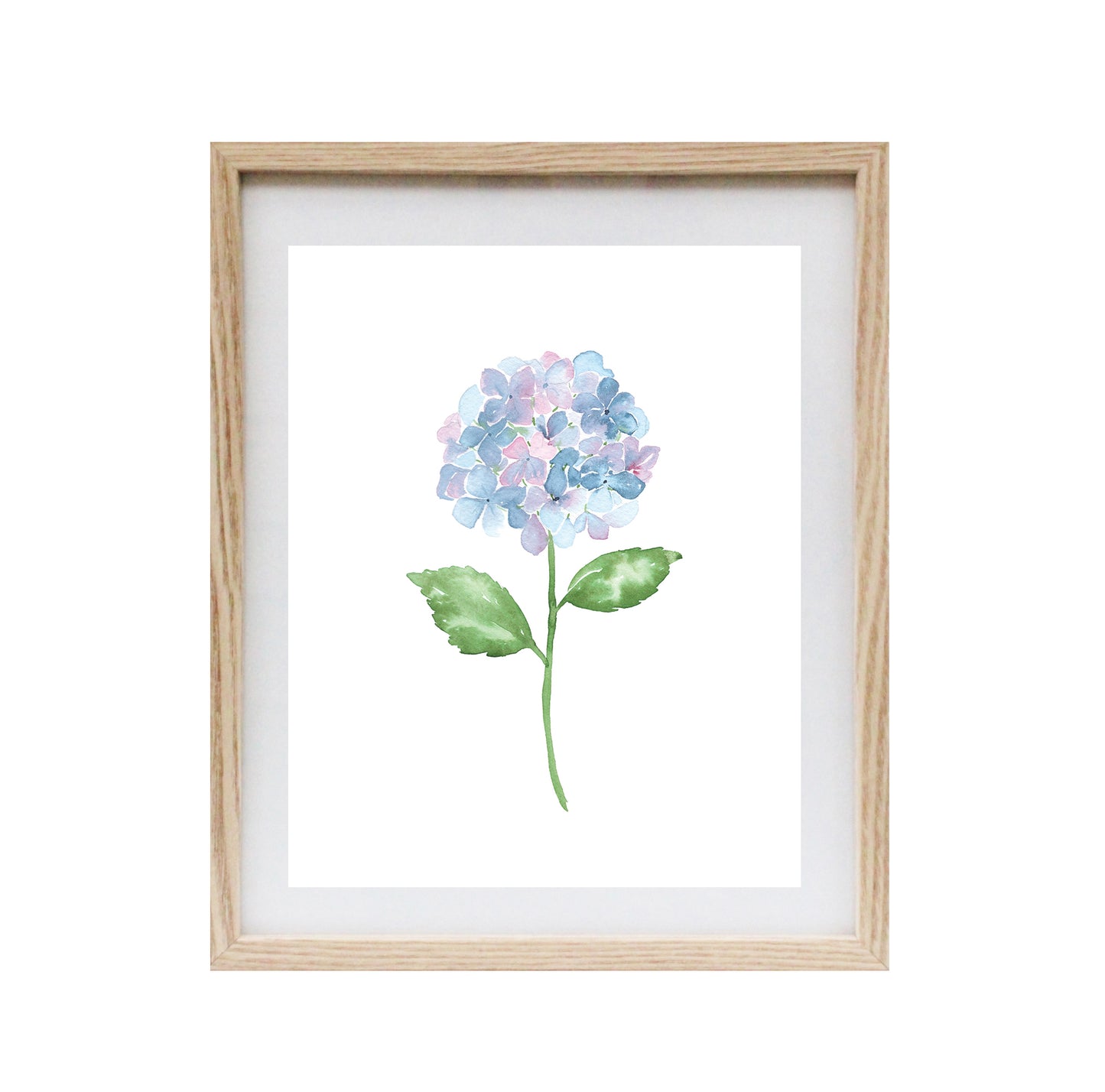 Hydrangea Art Print 8x10