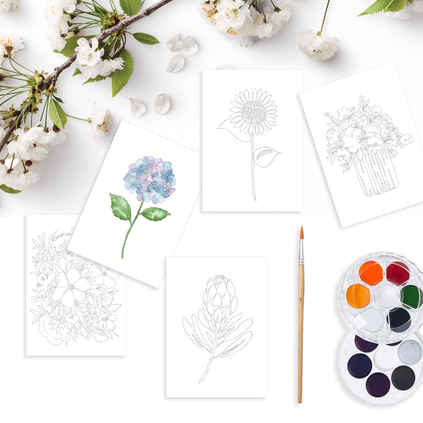 Floral Cards - Paint Your Own Watercolour Kit