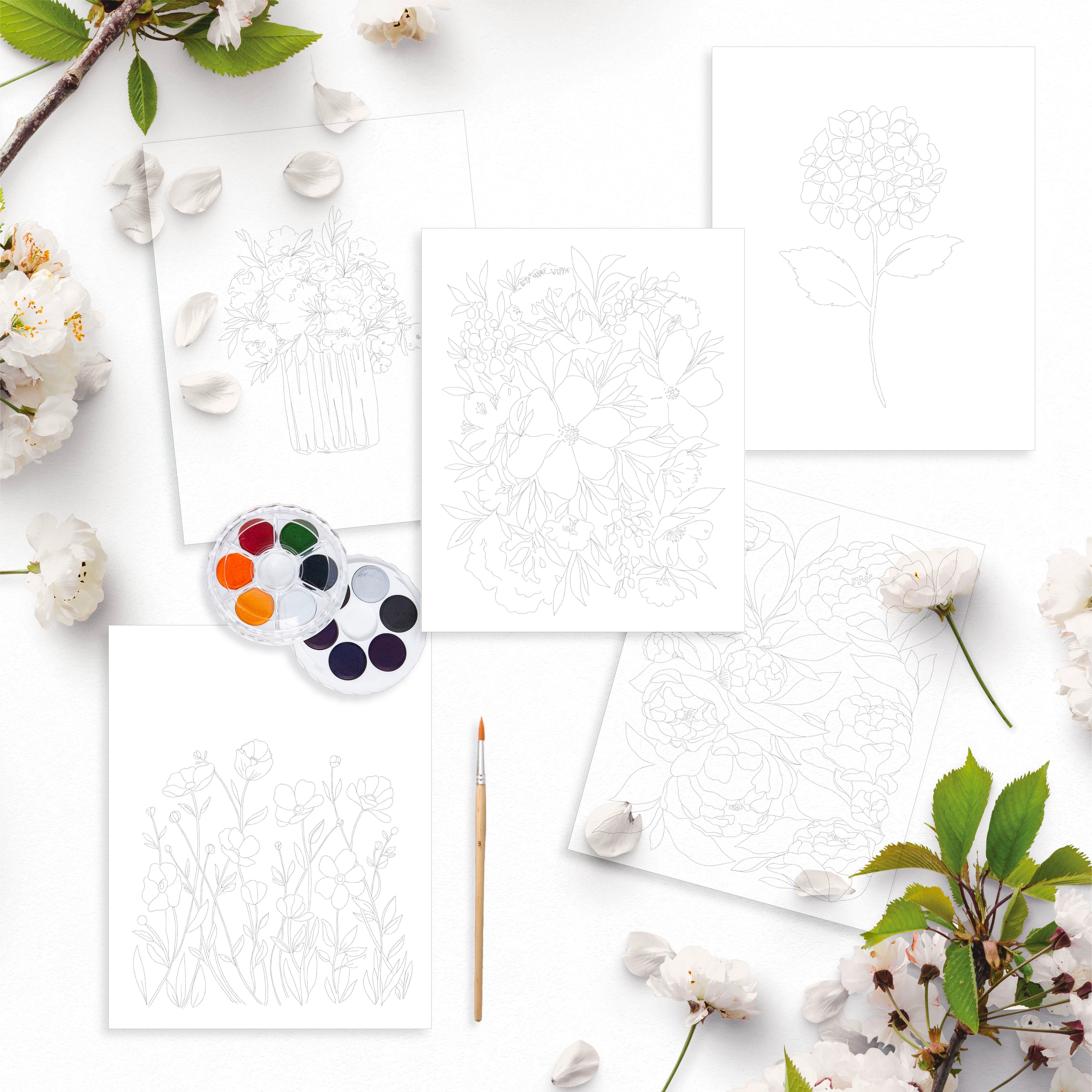 Art Prints Only Paint Your Own Ellen Walsh Designs