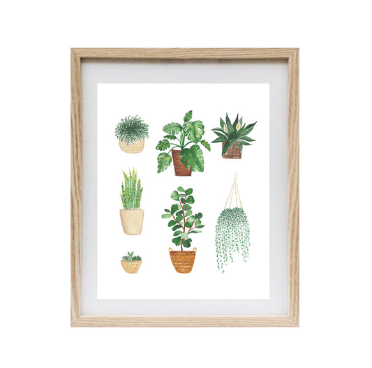 Plant Collection Art Print 8x10