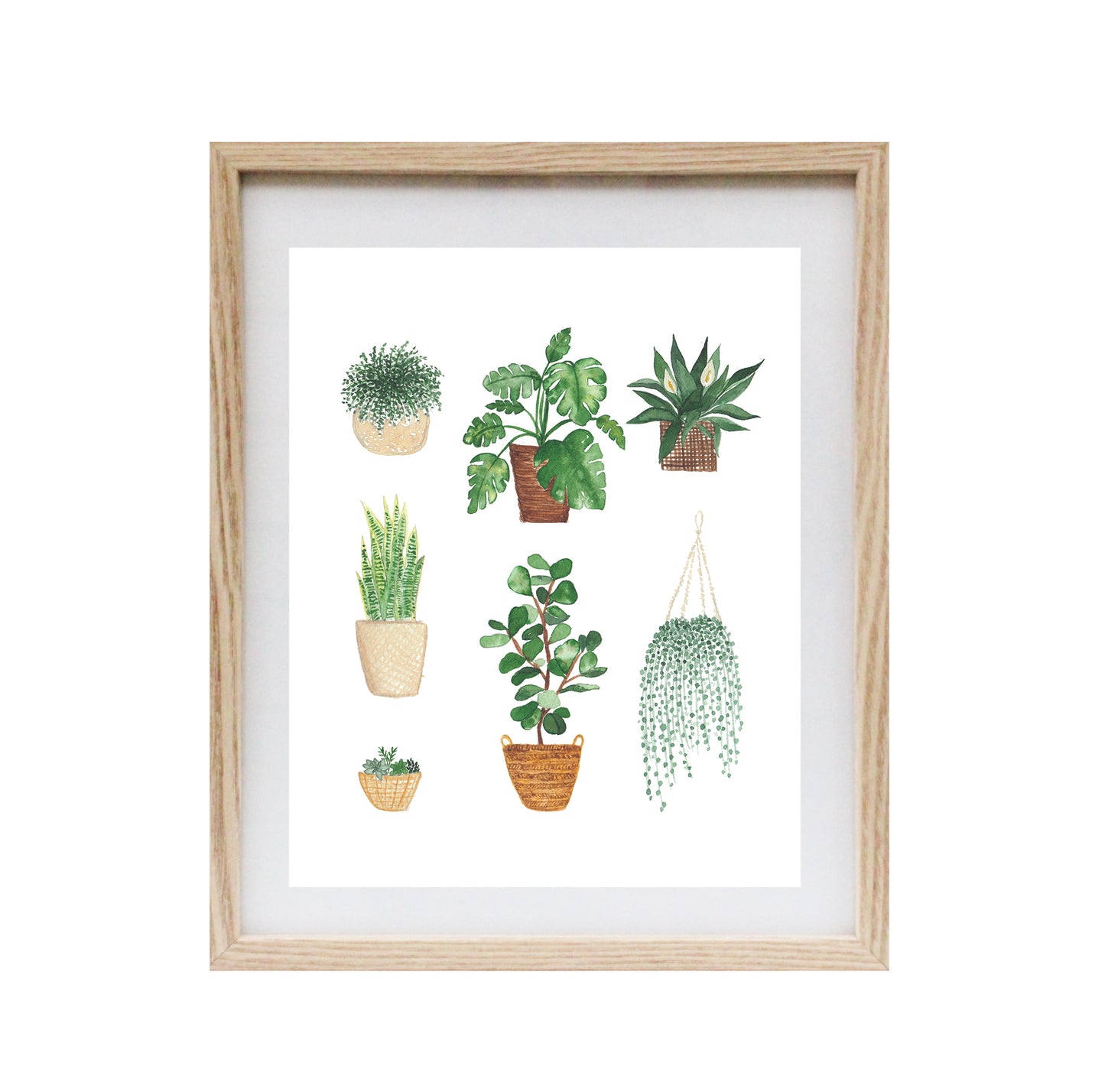 Plant Collection Art Print 8x10